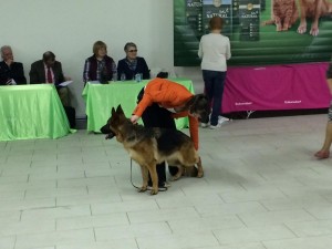 IMG_2447