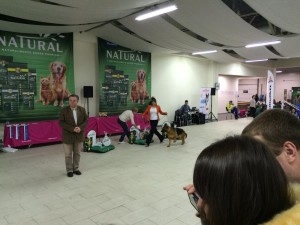 IMG_2450