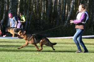 IMG_8831 