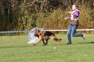 IMG_8874 