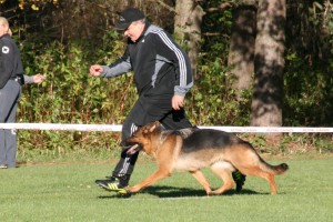 IMG_8882 