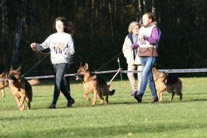 IMG_8896 
